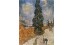 ΠΙΝΑΚΕΣ ΖΩΓΡΑΦΙΚΗΣ V.VAN GOGH